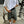 Tailored Grey shorts