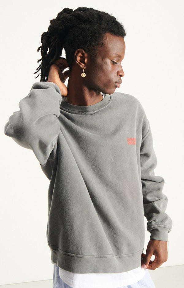 Sweat-shirt Plizzy Vintage Ash