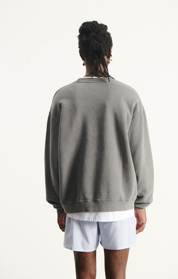 Sweat-shirt Plizzy Vintage Ash